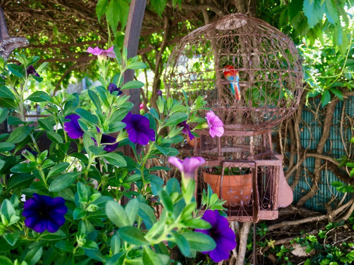 La Beytina - B&B And Apartment Pennautier ภายนอก รูปภาพ